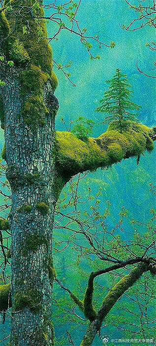 2、激光刻字機打塑膠出泡如何解決