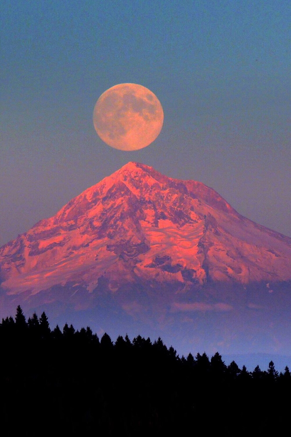 1.哪位專家知道塑料焊接的工藝！